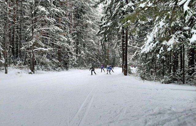 💪Приглашаем всех провести новогодние каникулы активно!