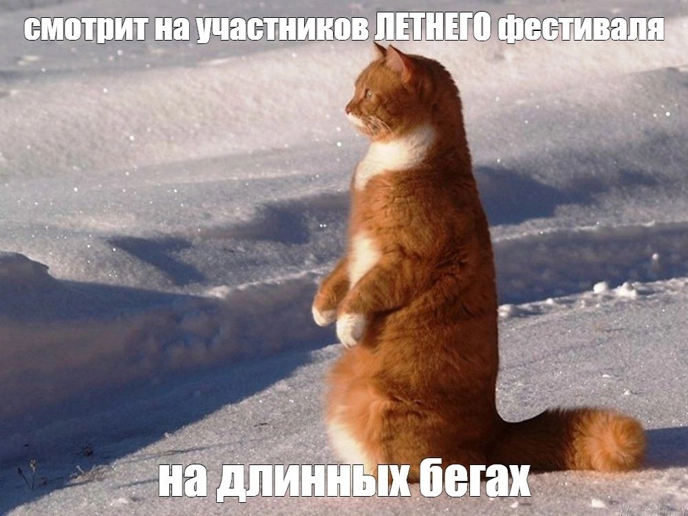 ВНИМАНИЕ, УЧАСТНИКАМ ЛЕТНЕГО ФЕСТИВАЛЯ!