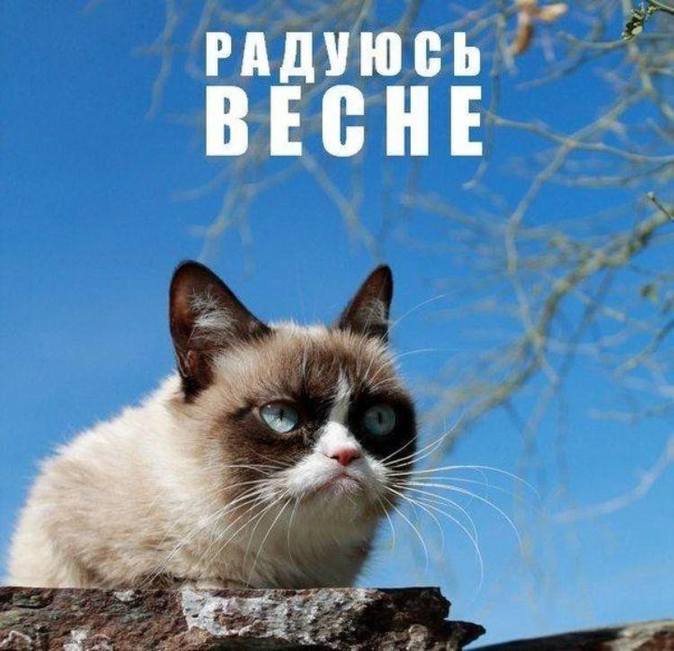 🎯 МОТИВАЦИЯ НА НОВЫЙ МЕСЯЦ: СТАВИМ ЦЕЛИ НА МАРТ! 🌼